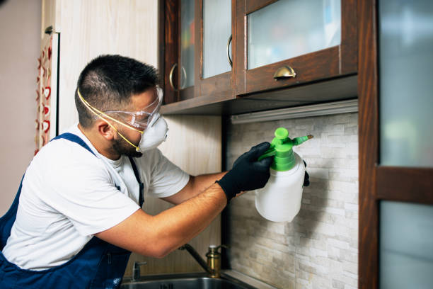 Best Commercial Pest Control Services  in Black River, NY